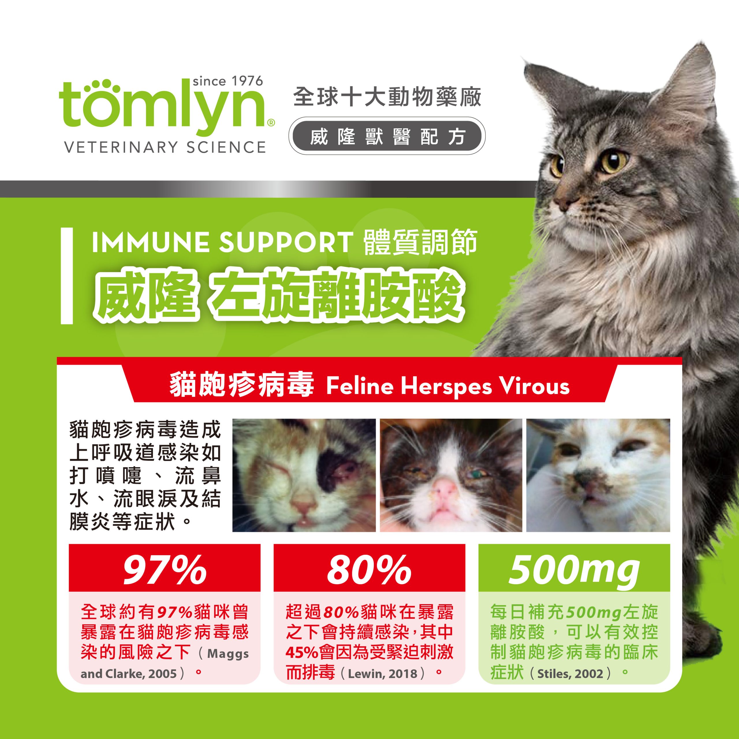 【Tomlyn】ePOSM 左旋離胺酸補充粉 04 scaled