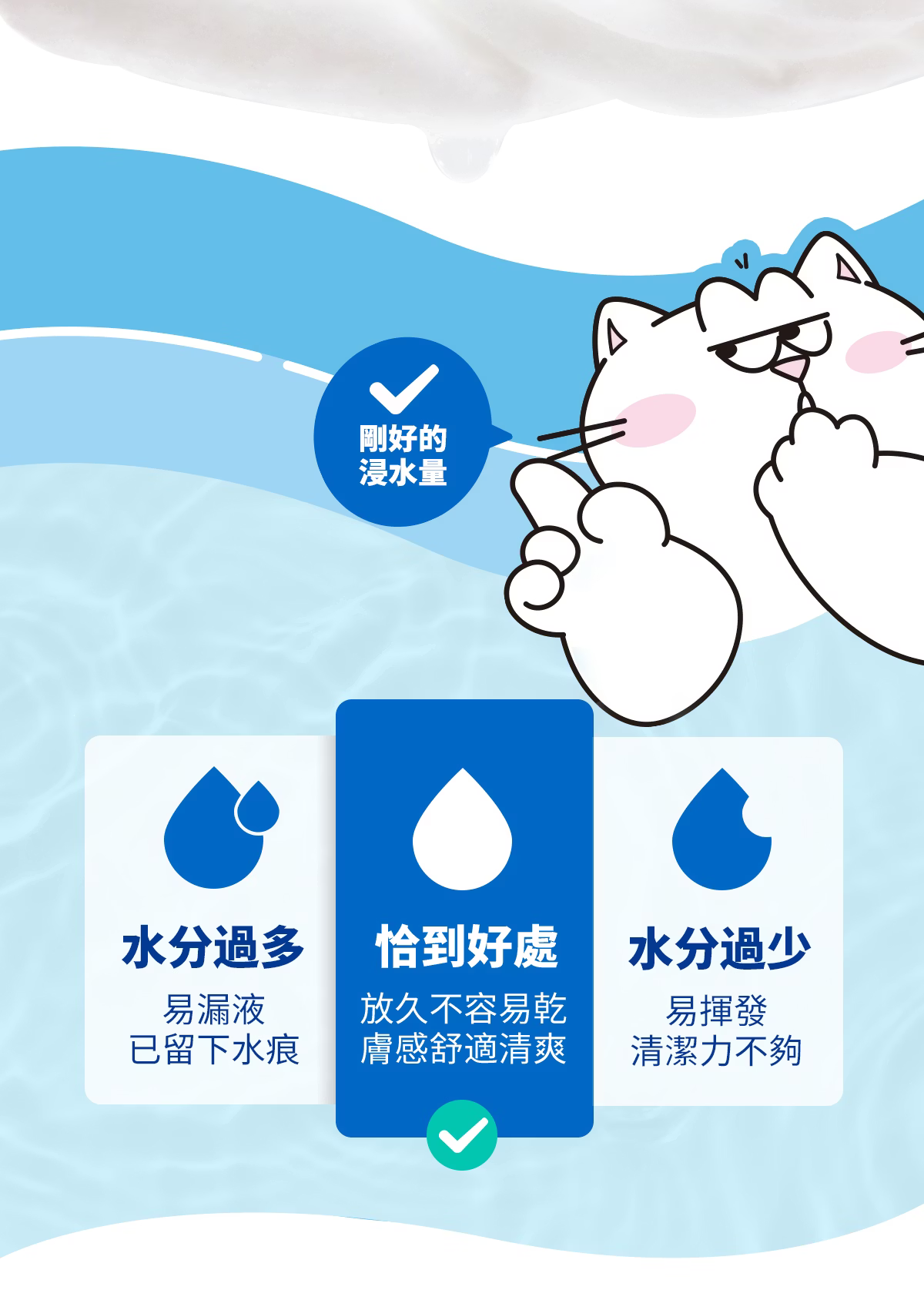 妮可露 Ag銀離子寵物抑菌濕巾 6