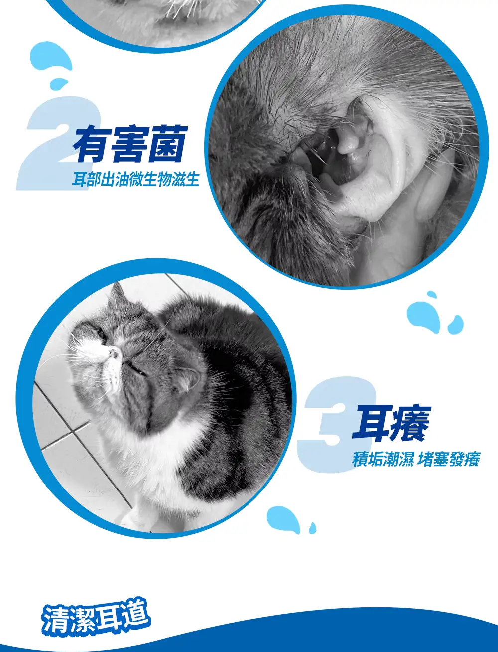 妮可露 寵物專用洗耳液 2