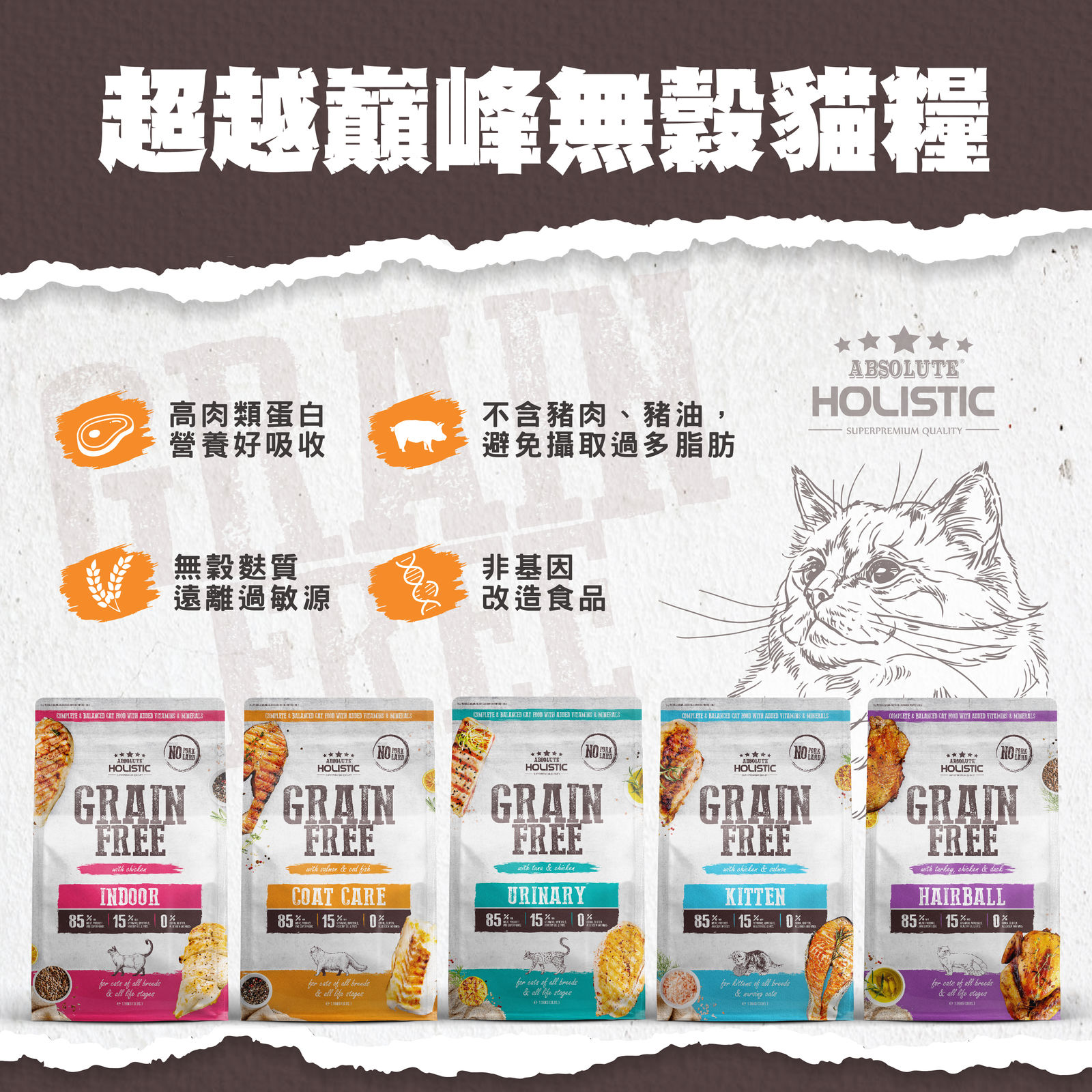 20240215超越巔峰貓飼料 蝦皮圖 工作區域 1
