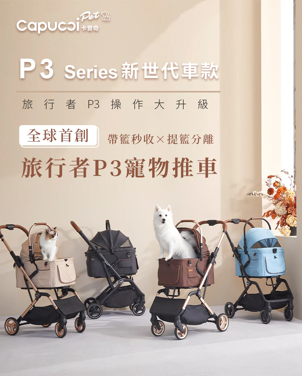 NEW P3 3 01