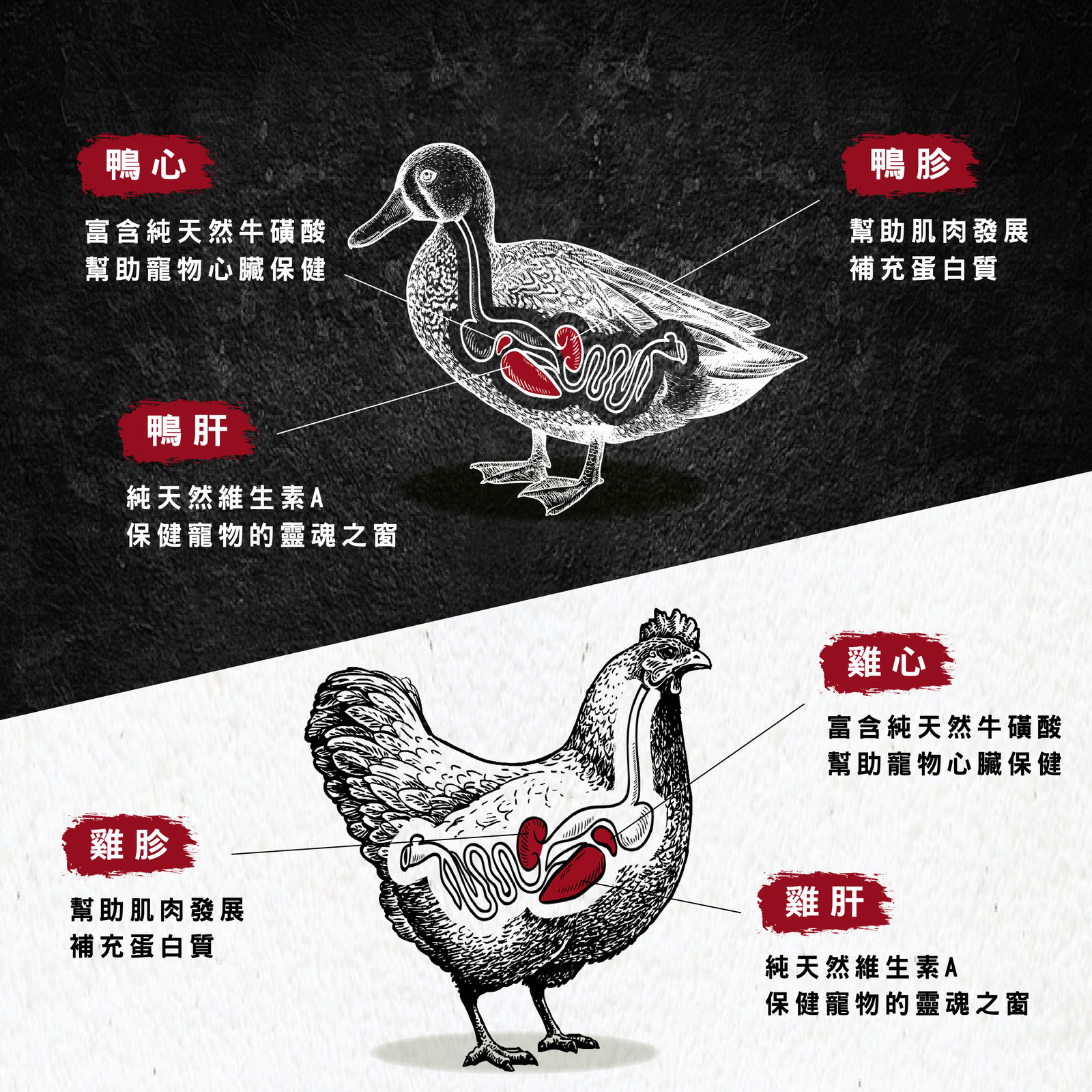 主食貓罐長條圖 04