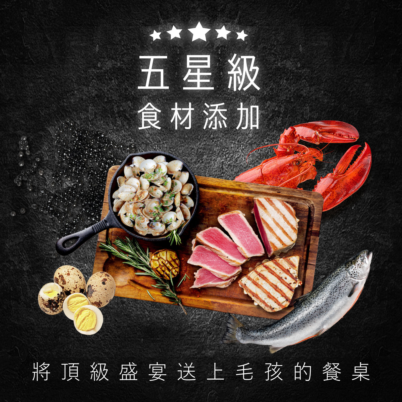 主食貓罐長條圖 05