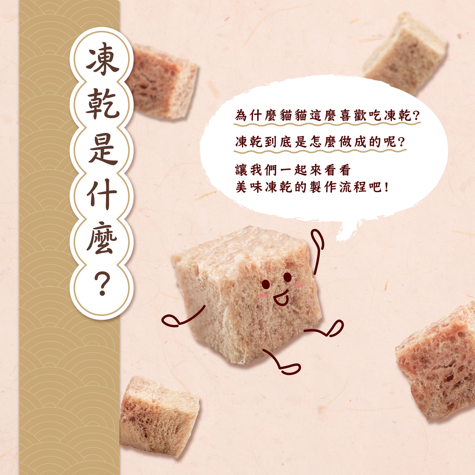 原燒貓凍乾長條圖 OL 03