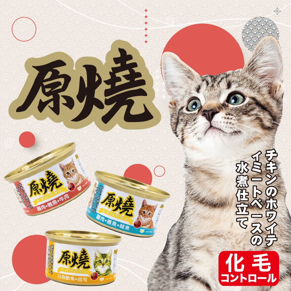 原燒貓罐長條圖20240124 01