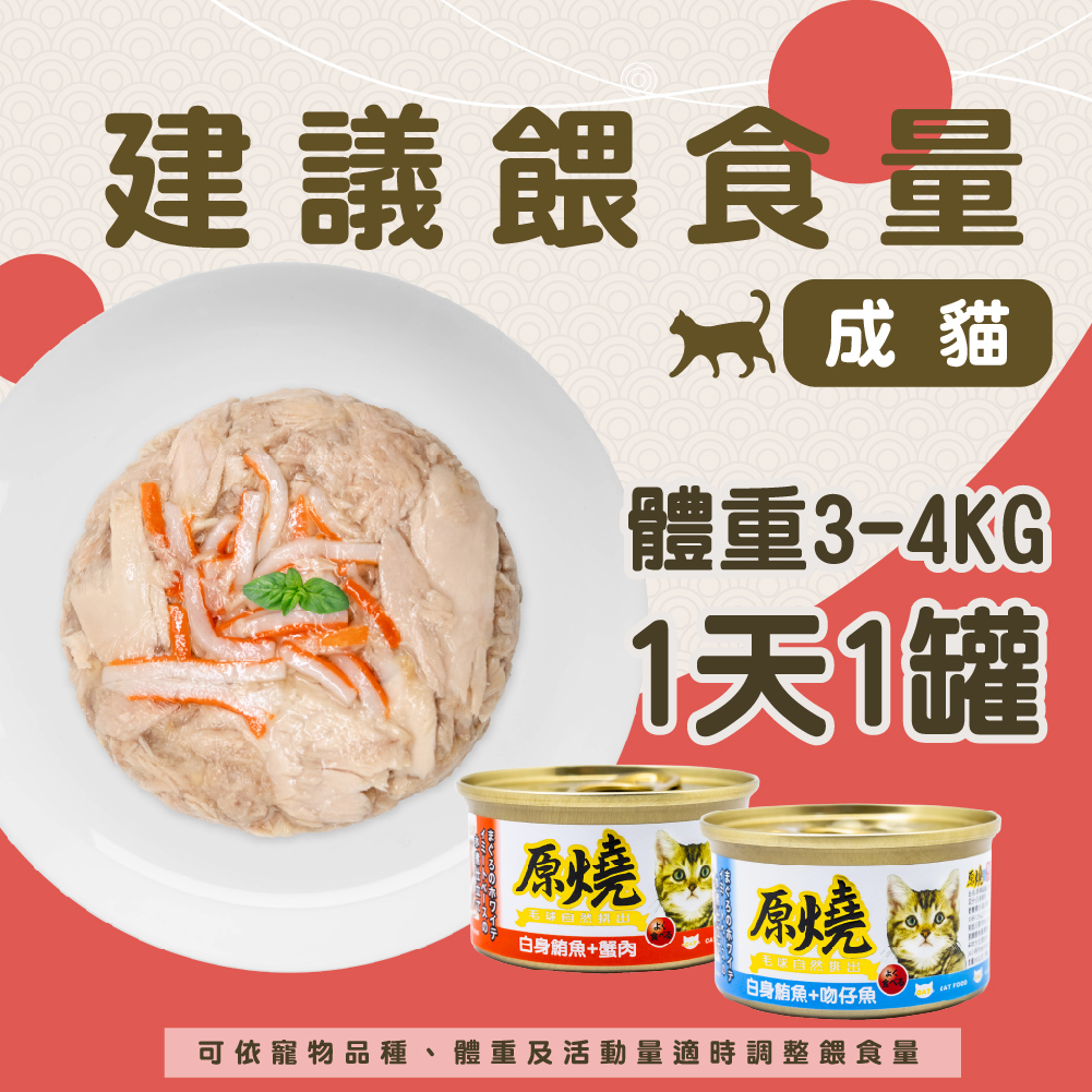 原燒貓罐長條圖20240124 05