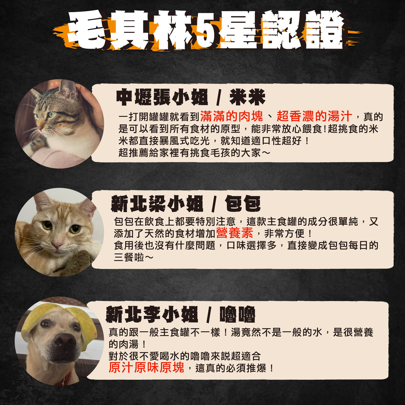 超越巔峰 肉塊主食湯罐 09