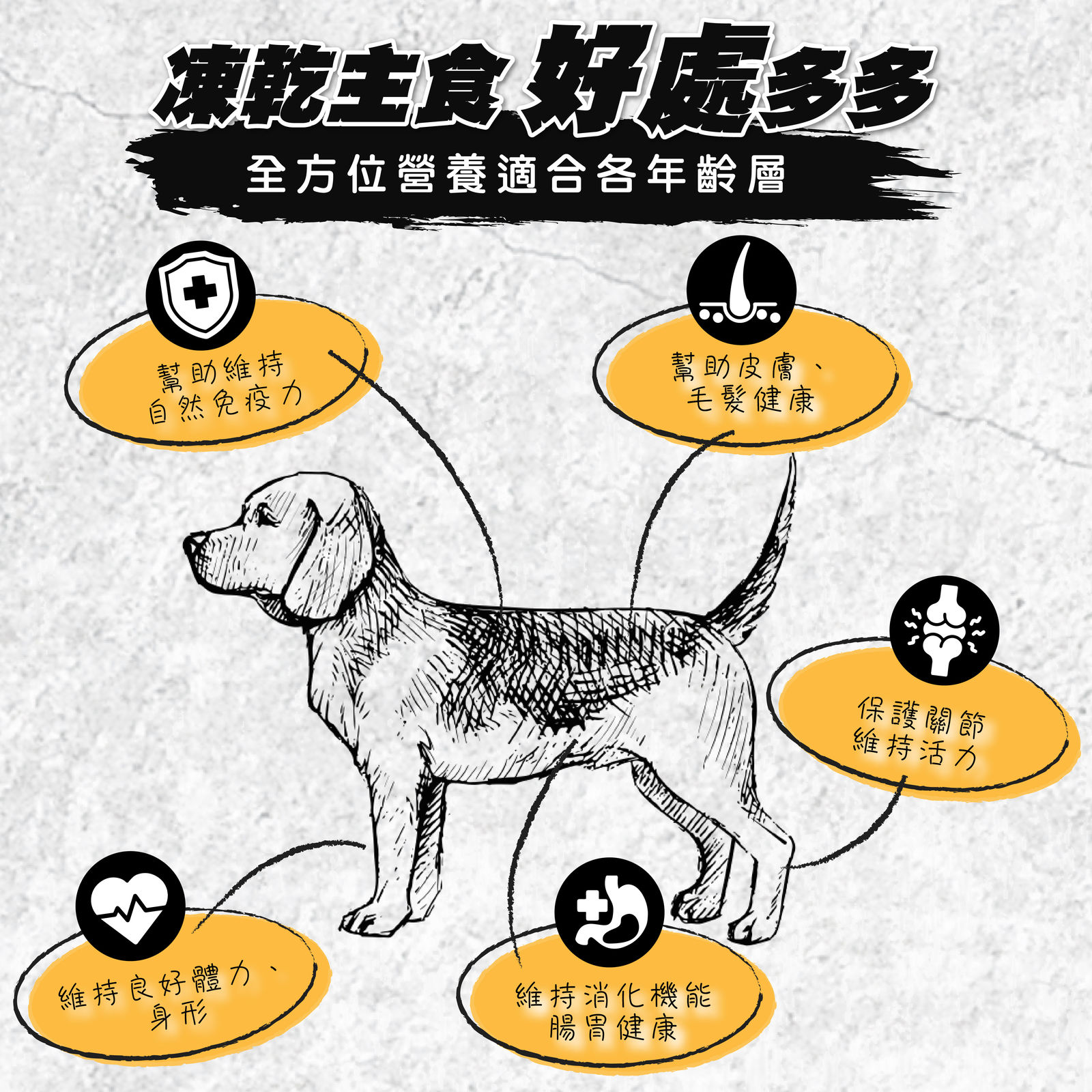 超越巔峰主食凍乾 犬 長條圖 004