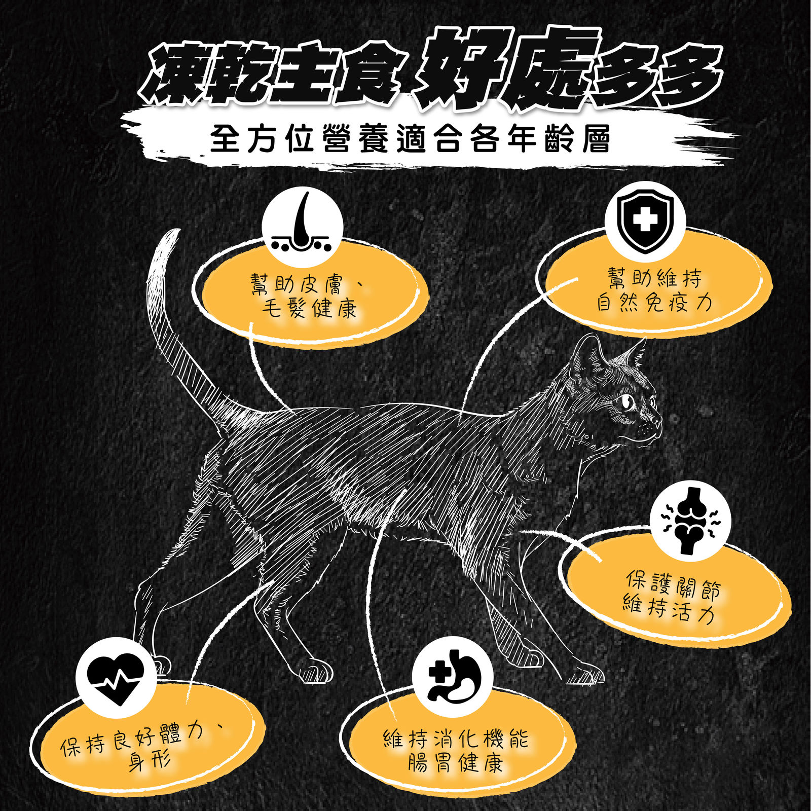 超越巔峰主食凍乾 貓 長條圖 003