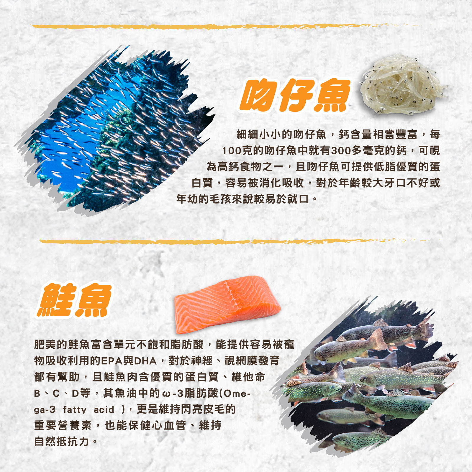 超越巔峰無穀貓湯罐 長條圖 009