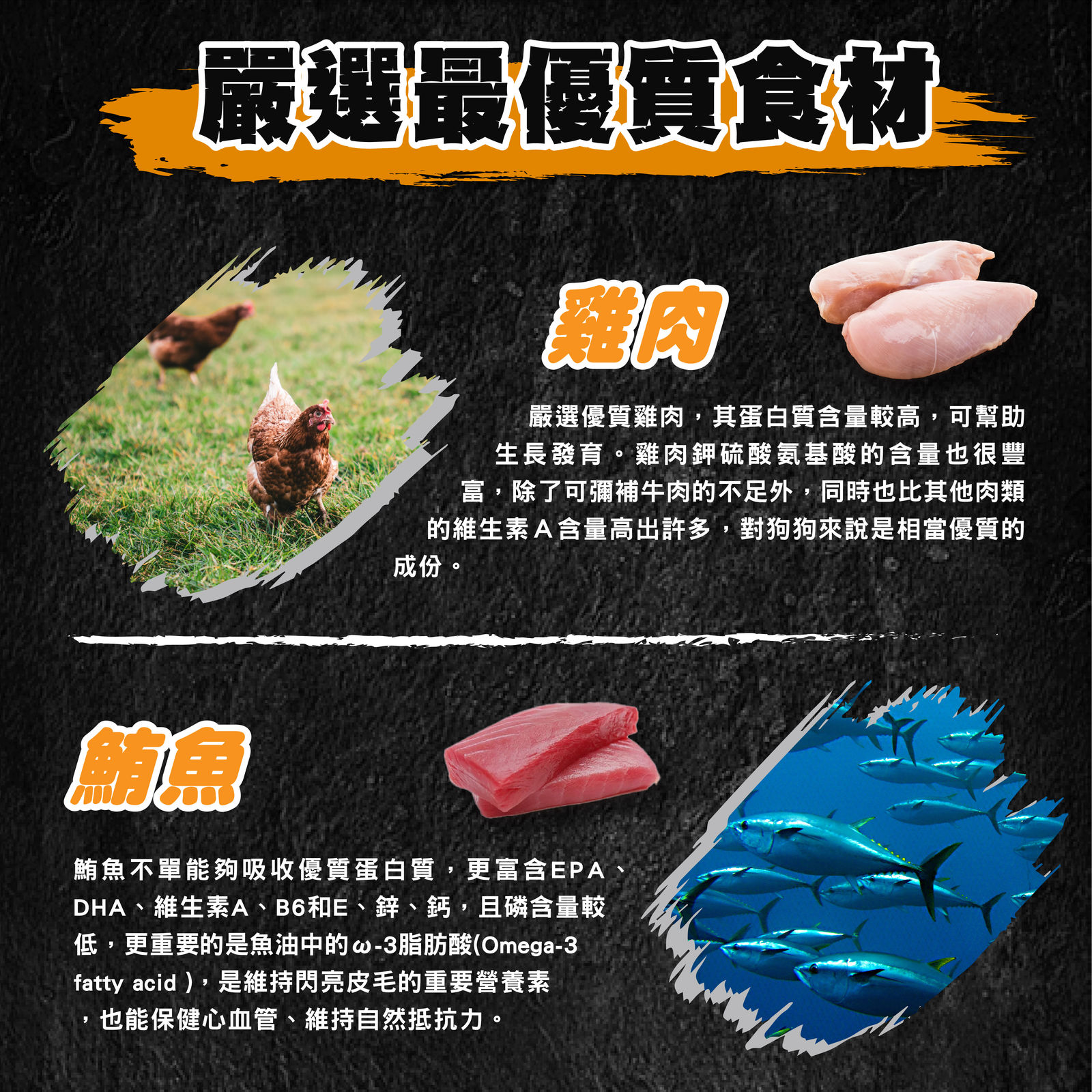 超越巔峰犬罐長條圖 008