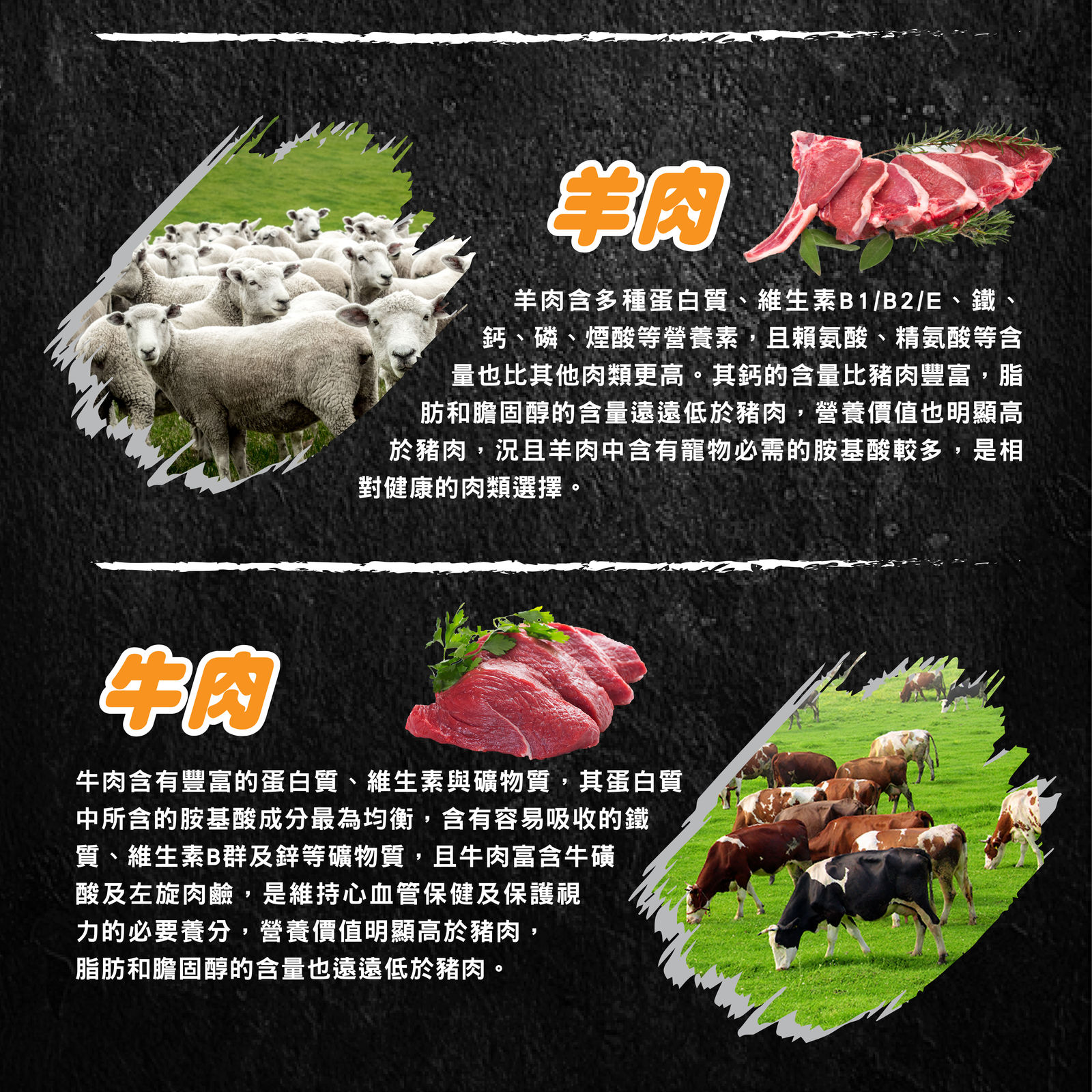 超越巔峰犬罐長條圖 011