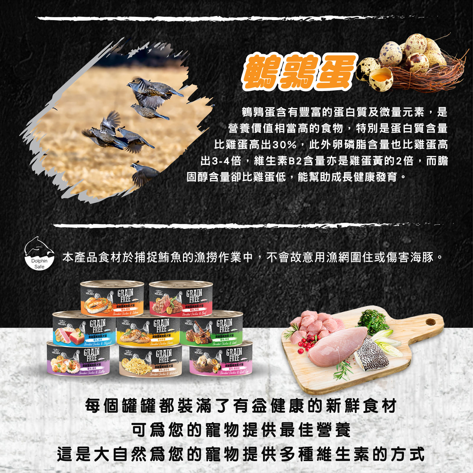 超越巔峰犬罐長條圖 012