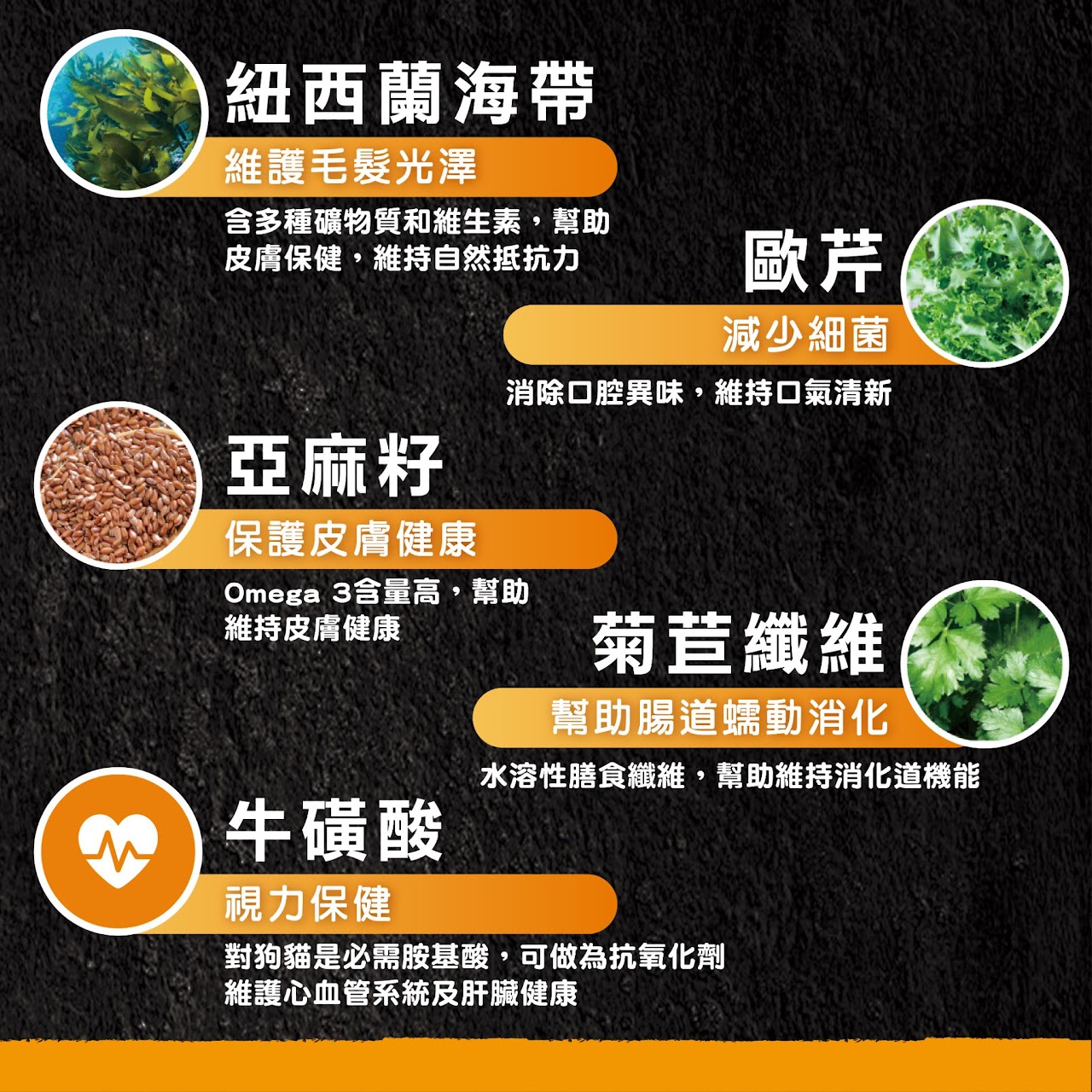 超越巔峰鮮食肉片 犬 007