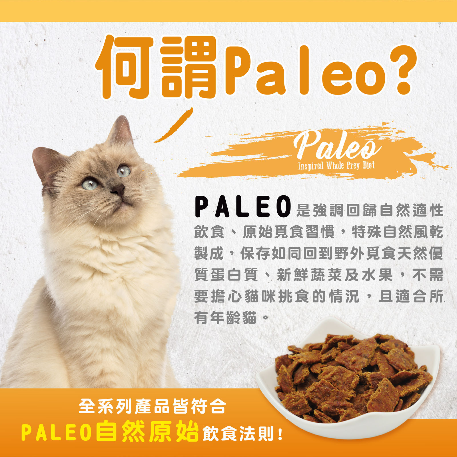 超越巔峰鮮食肉片 貓 002