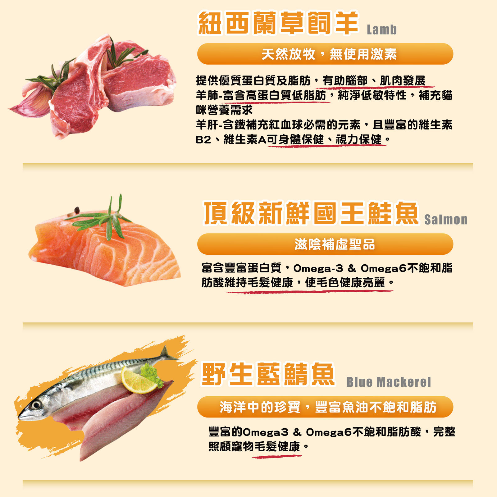 超越巔峰鮮食肉片 貓 006