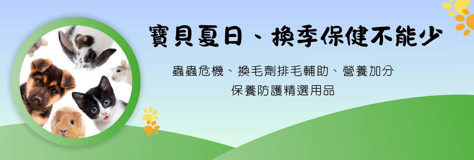 棒棒貓寵物用品 60 2025061606352528