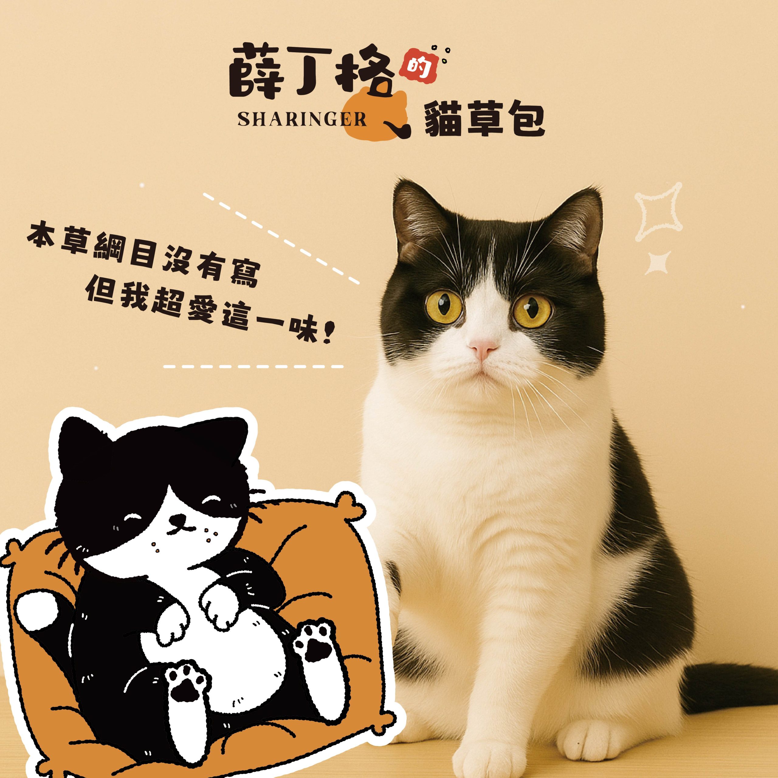 2025111005485328 scaled