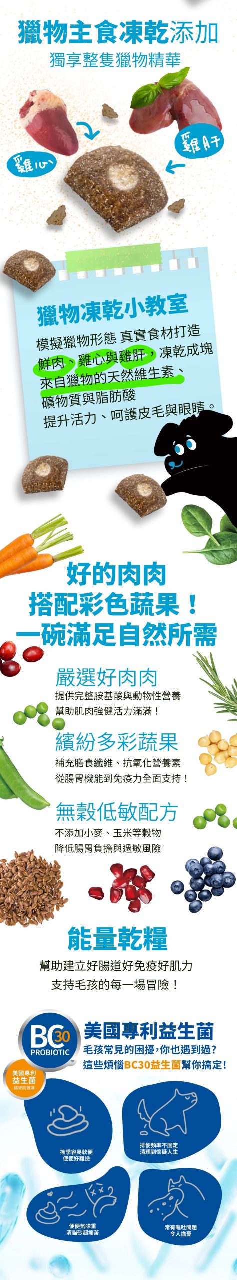 2025111305524736 scaled