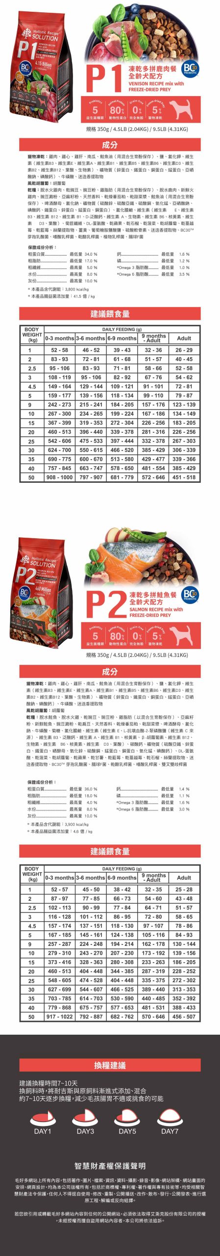 2025111306241256 scaled