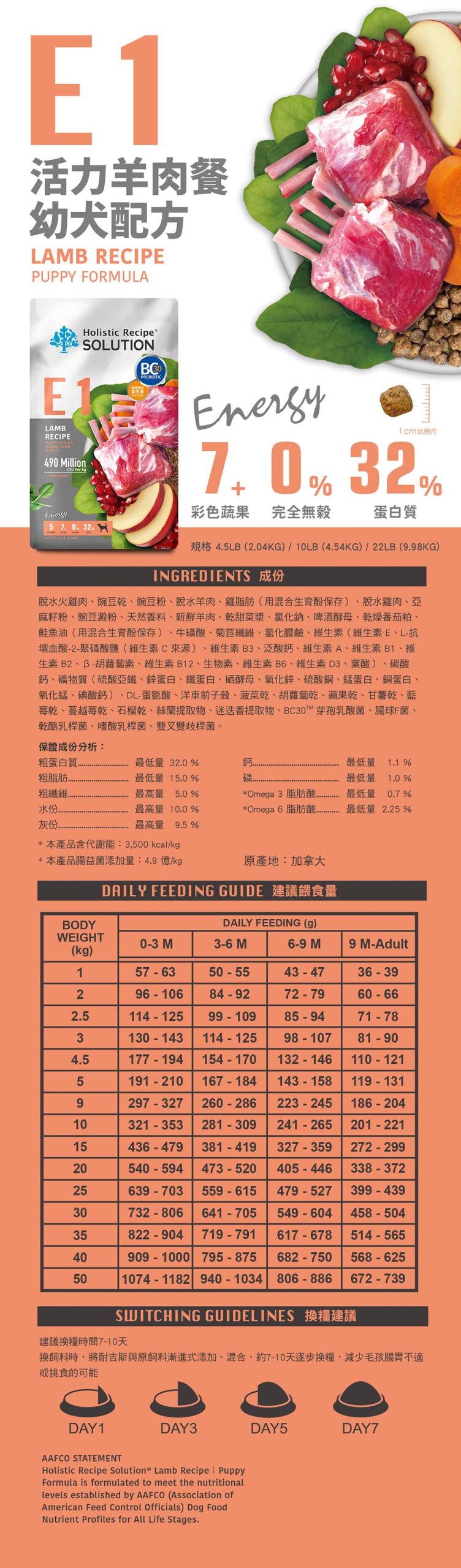 2025111307493344 scaled