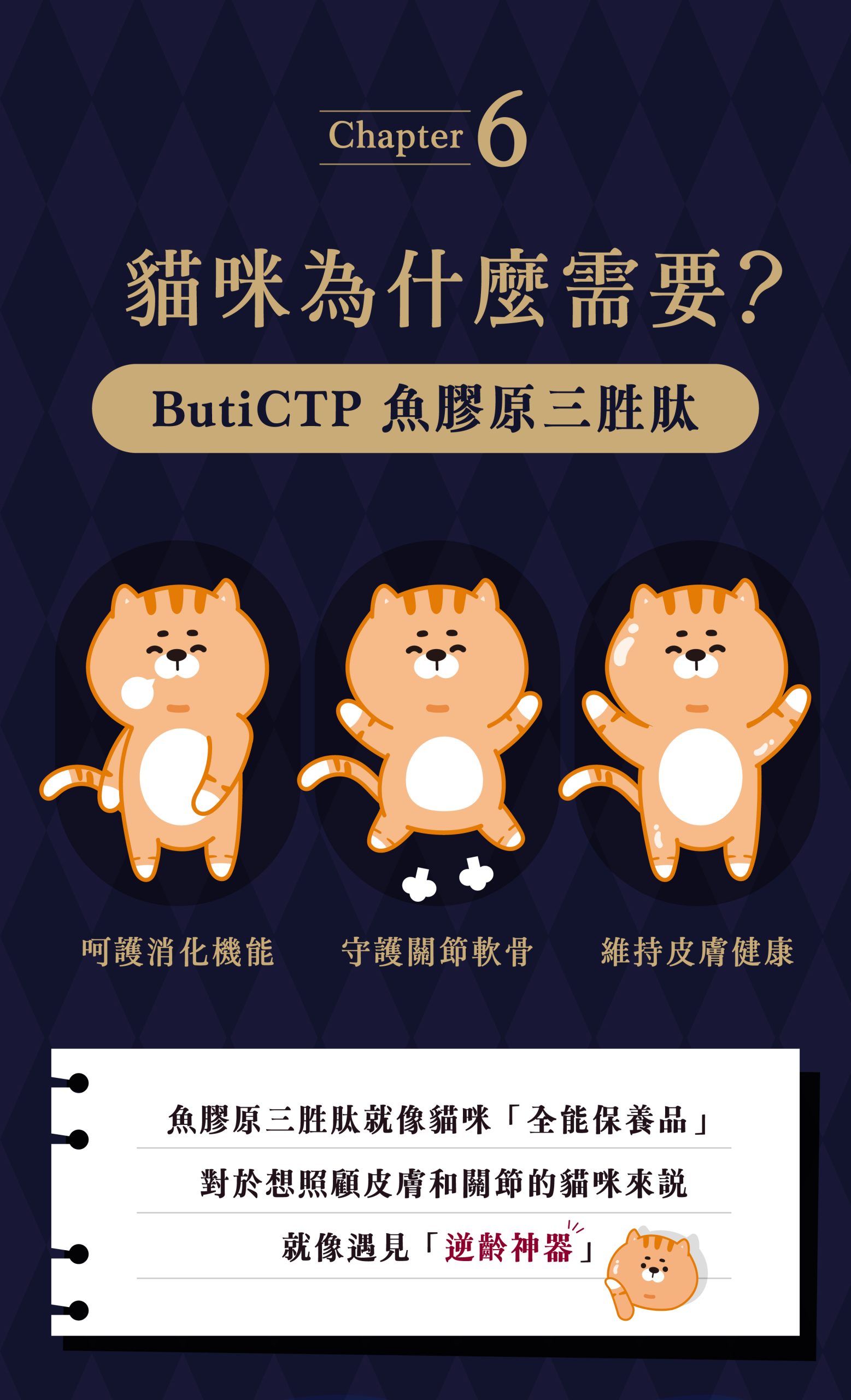 2025111308024897 scaled