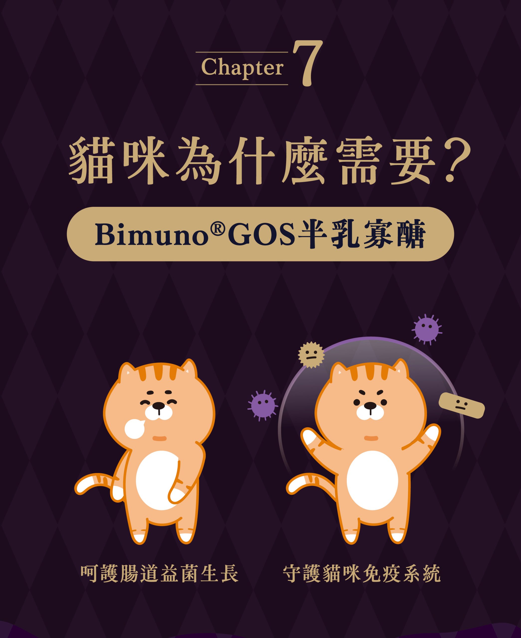 2025111308030314 scaled