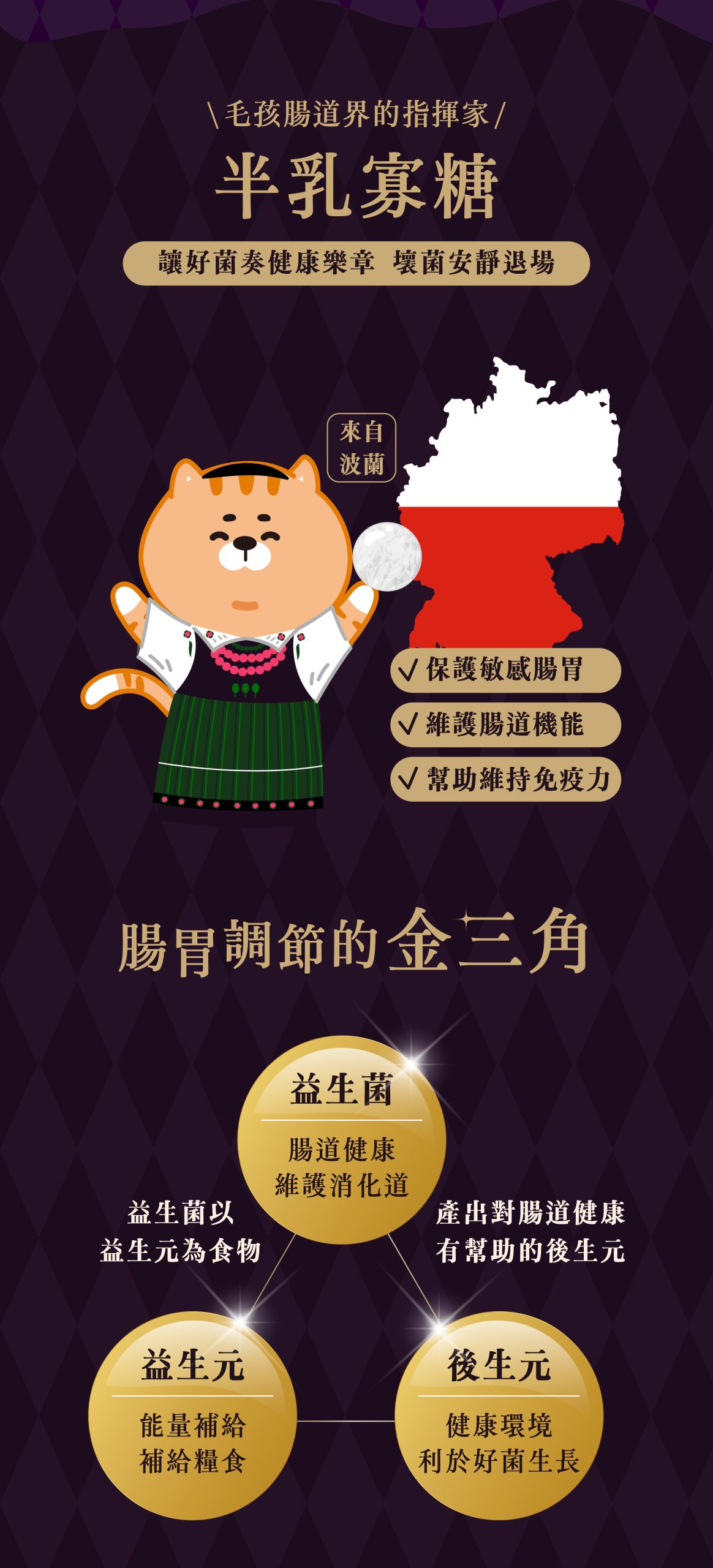 2025111308031213 scaled