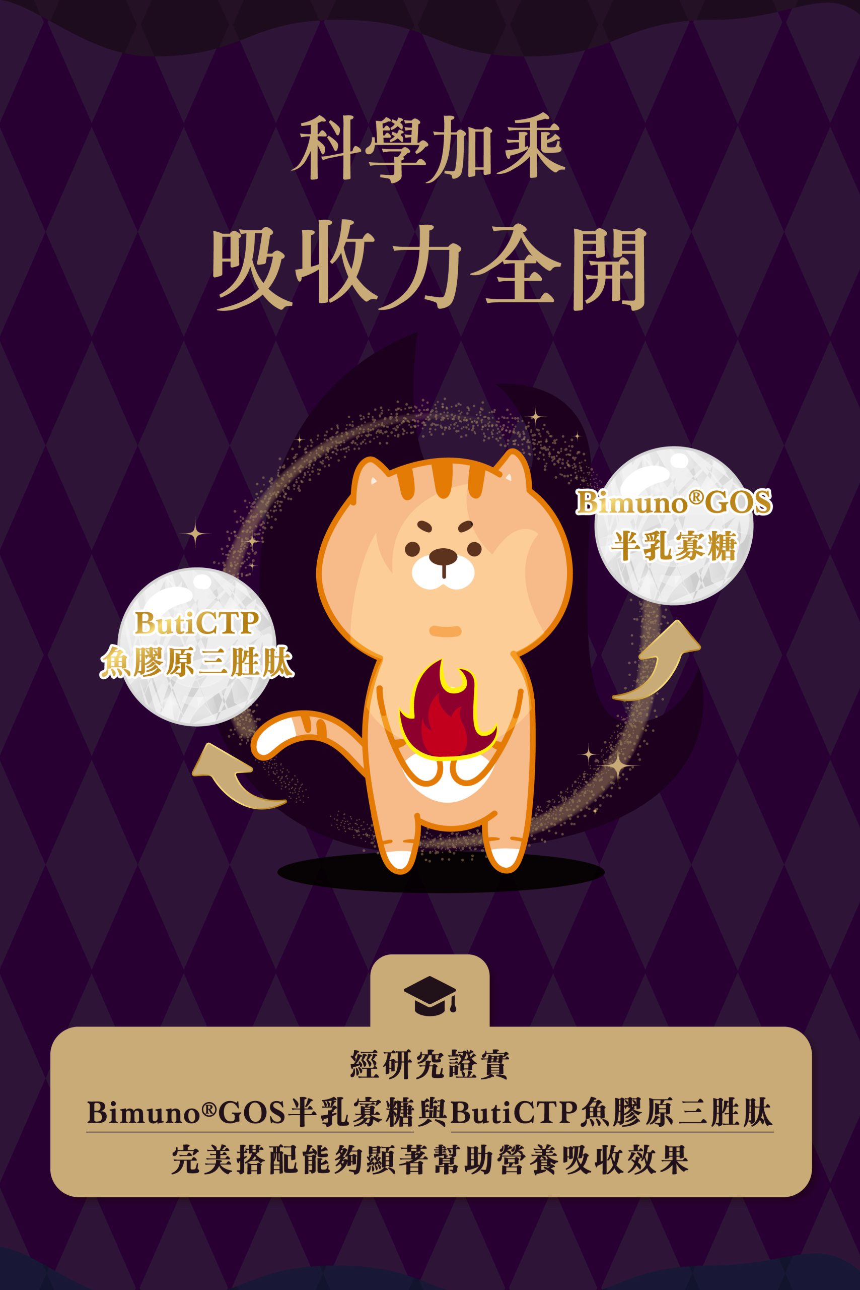 2025111308031723 scaled