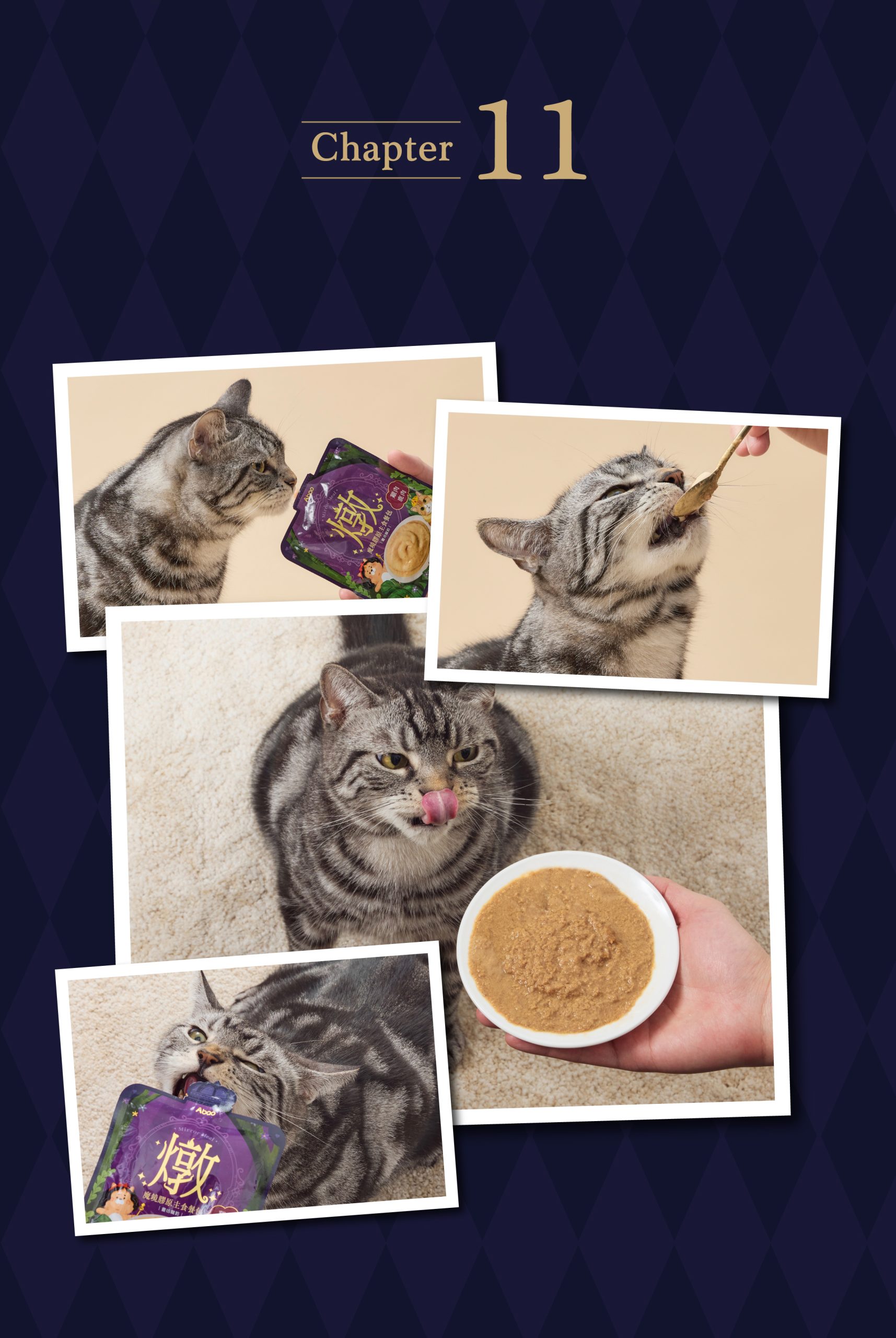 2025111308035235 scaled