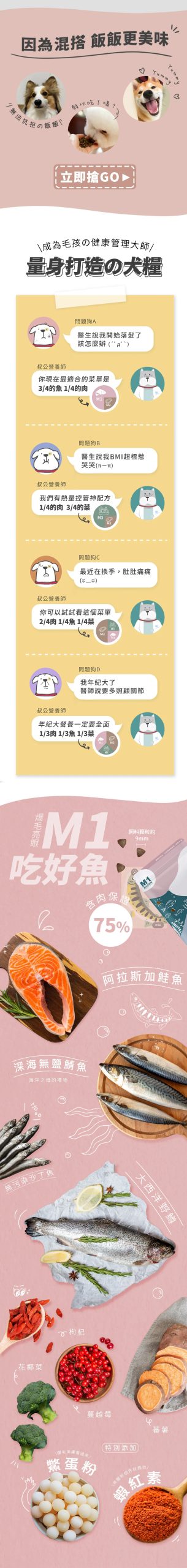 2025111309204248 scaled