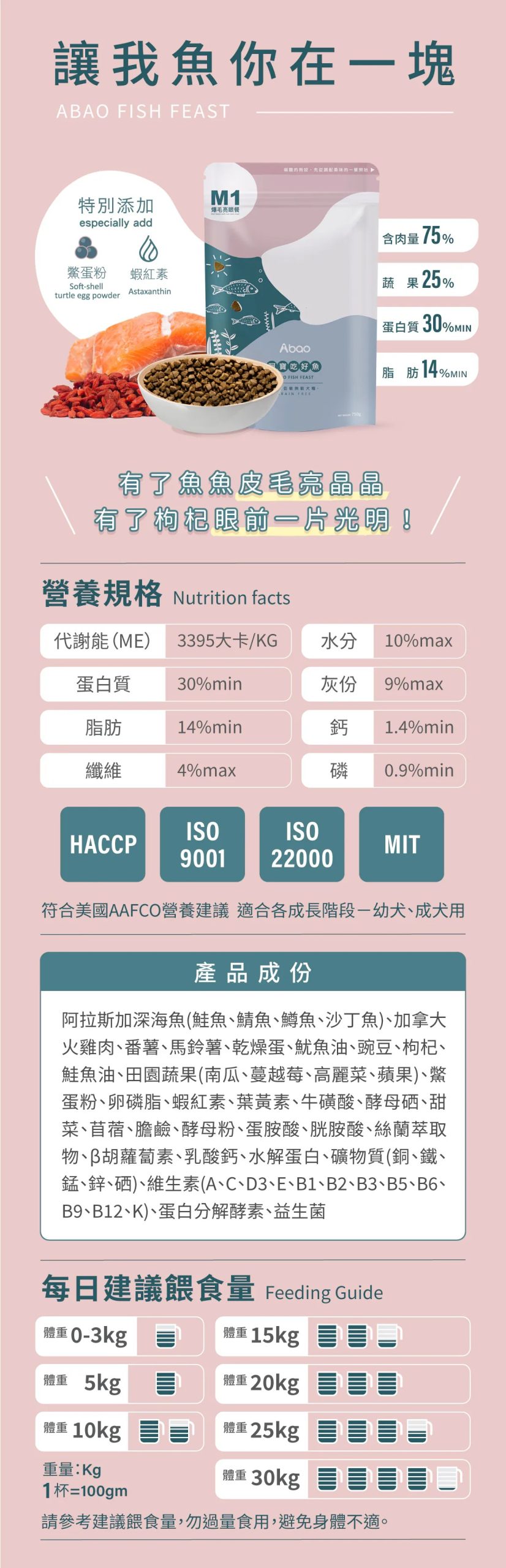 2025111309205924 scaled