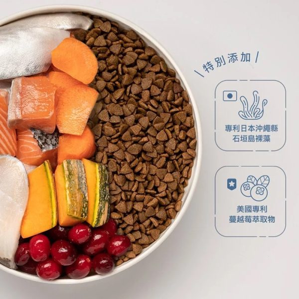 [貓咪主食飼料系列] 肚肚派對 貓吃魚無穀貓飼料 - 4kg