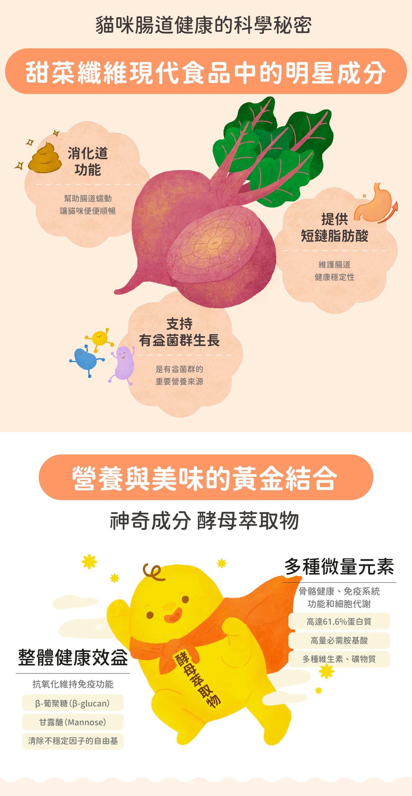 2025111706093163 scaled