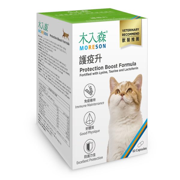 [木入森] 貓咪護疫升 - 貓 - 60顆