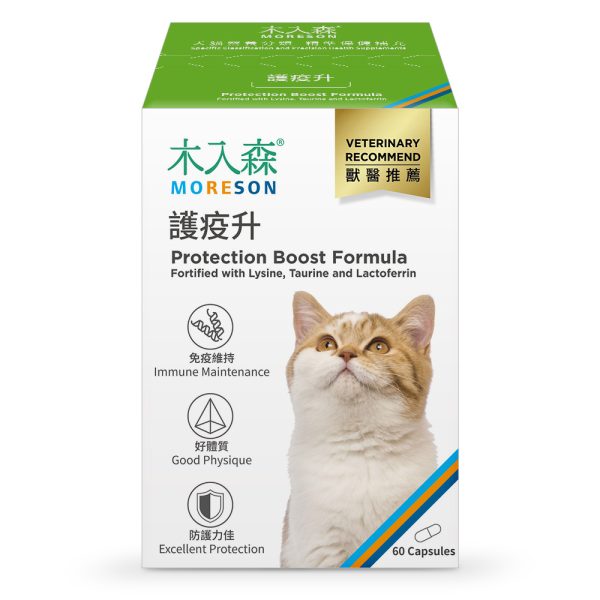 [木入森] 貓咪護疫升 - 貓 - 60顆