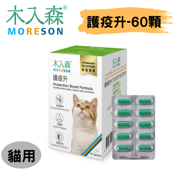 [木入森] 貓咪護疫升 - 貓 - 60顆