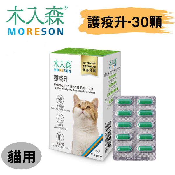 [木入森] 貓咪護疫升 - 貓 - 30顆