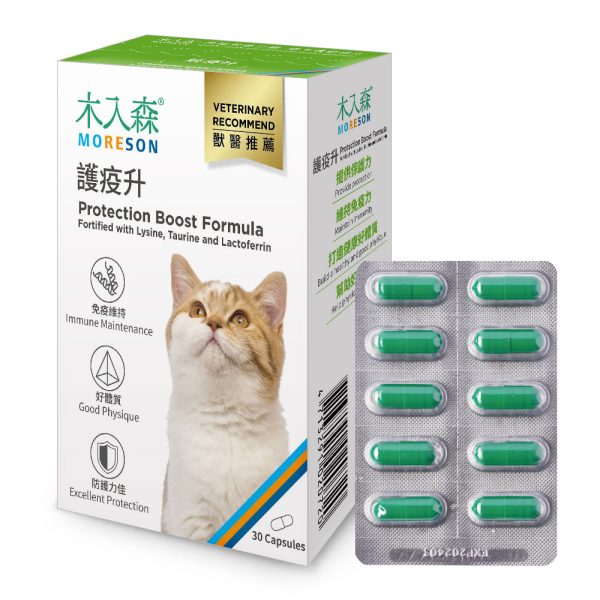 [木入森] 貓咪護疫升 - 貓 - 30顆