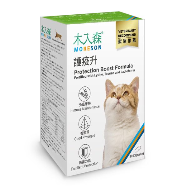 [木入森] 貓咪護疫升 - 貓 - 30顆