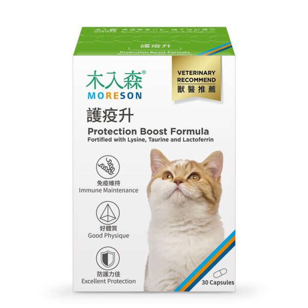 [木入森] 貓咪護疫升 - 貓 - 30顆