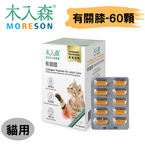 [木入森] 貓咪有關膝 - 貓 - 60顆