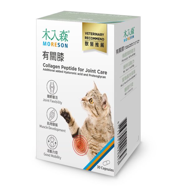 [木入森] 貓咪有關膝 - 貓 - 30顆