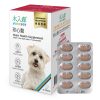 [木入森] 犬寶珍心動 - 犬 - 60顆