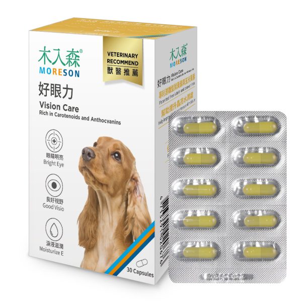 [木入森] 犬寶好眼力 - 犬 - 30顆