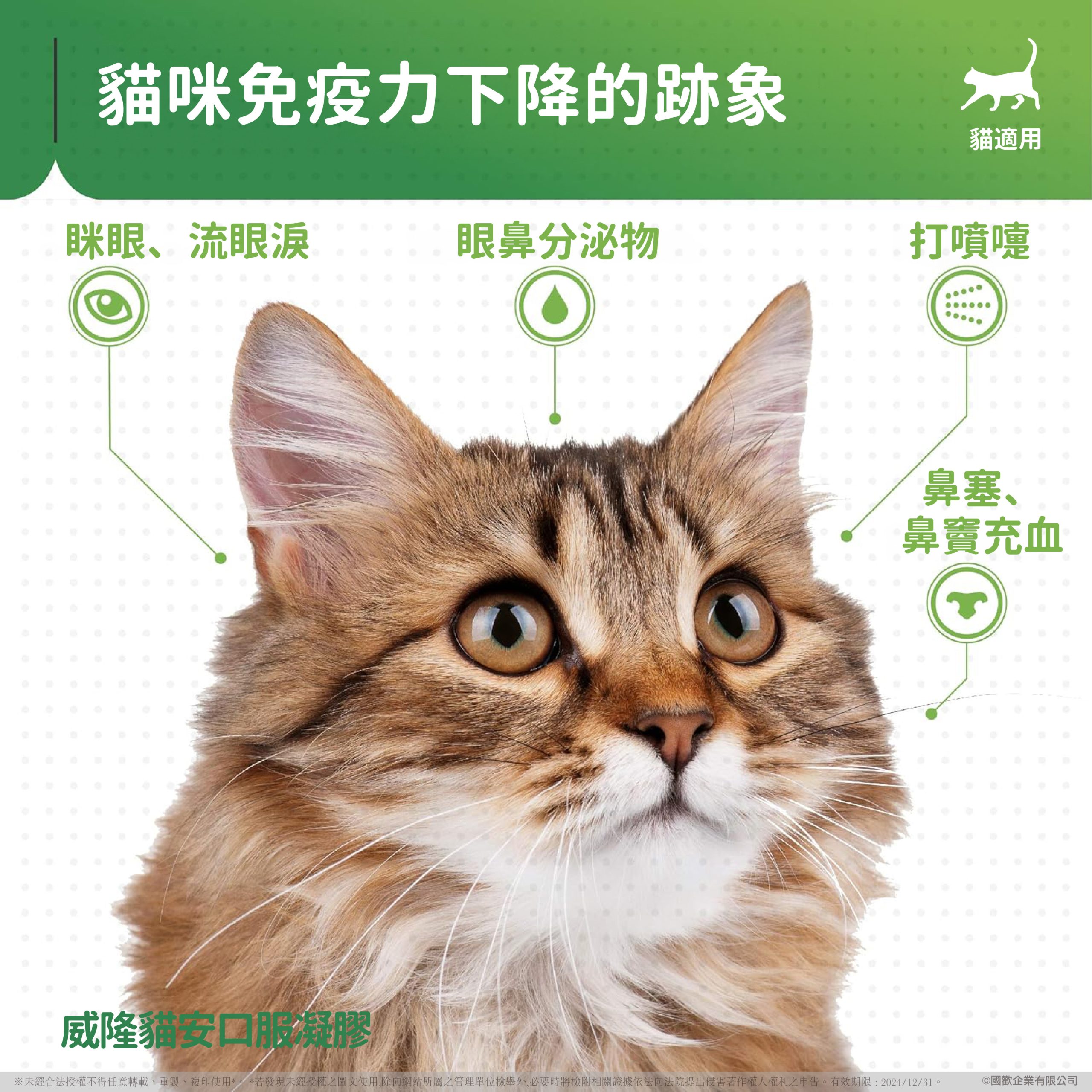 2025111903375185 scaled