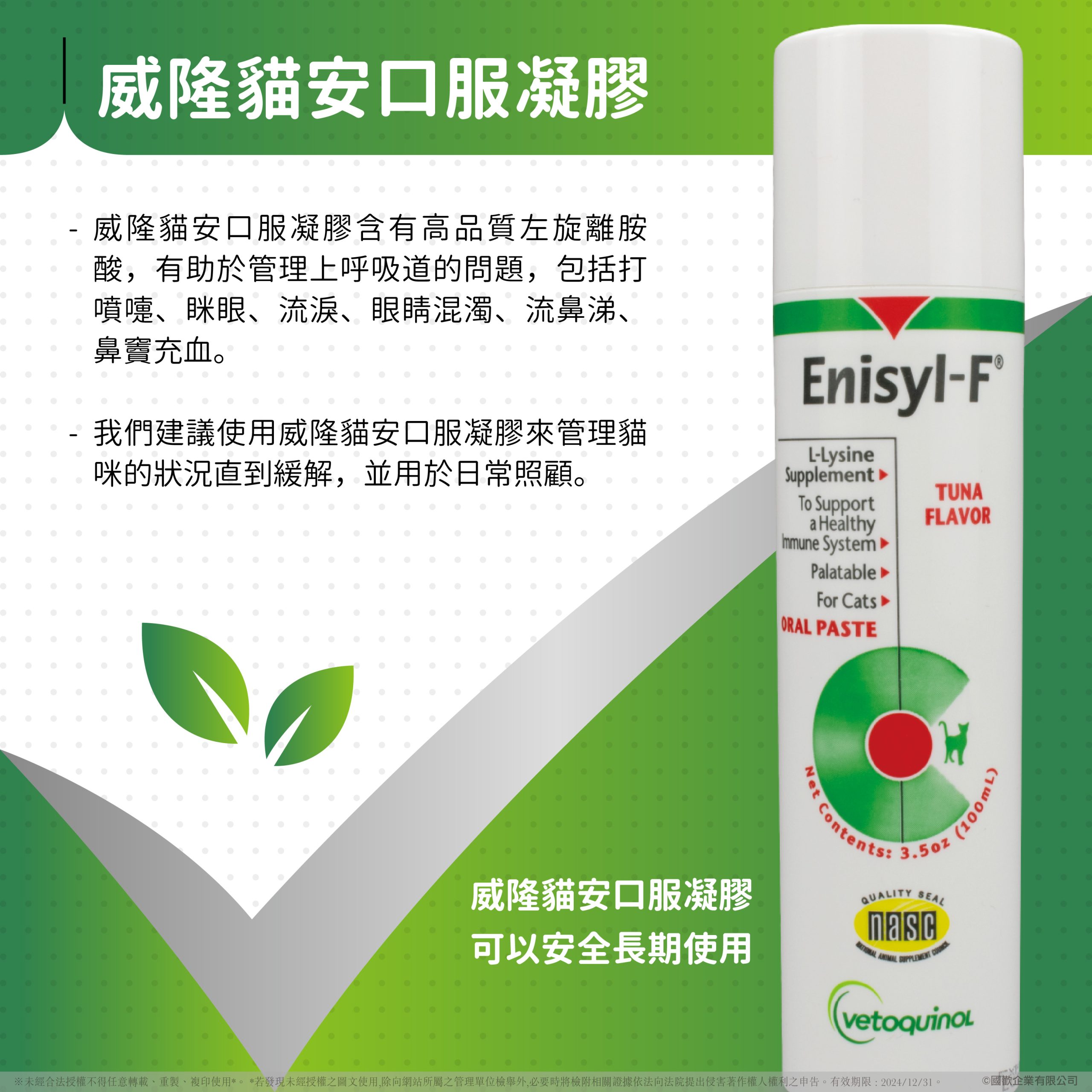 2025111903380935 scaled